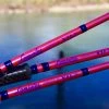 Lamiglas FRESHWATER LX 96 HCGHP - X11 Pink 9'6" 15-30 1-8oz. (Salmon Rod)