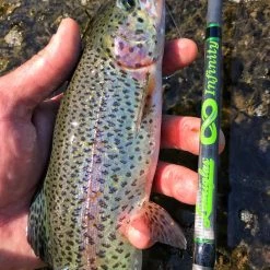 Lamiglas IF762UL | Infinity Ultra-Light 7'6" Spin (Trout & Panfish)