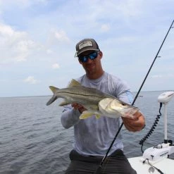 Lamiglas SALTWATER TriFlex V2 | TFXV7325S 7'3" 12-25 Lb Spinning 11 Lamiglas SALTWATER TriFlex V2 | TFXV7325S 7'3