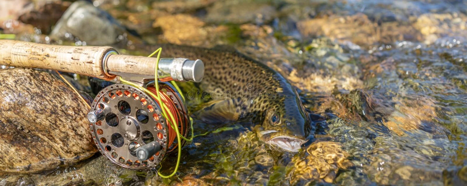 Lamiglas shop online -Lamiglas shop online fly fishing rod reel river bank scene banks banner 225482496